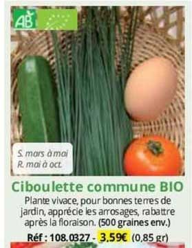 Ciboulette Commune Bio