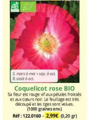 Coquelicot Rose Bio