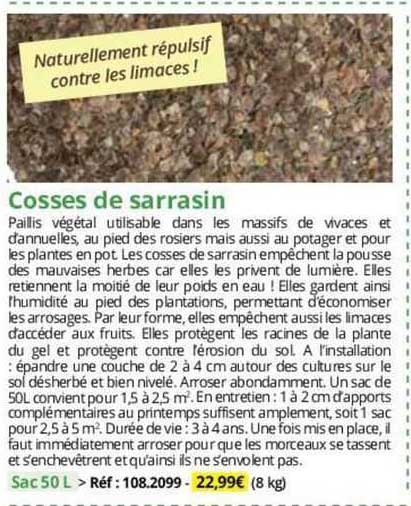 cosses de sarrasin