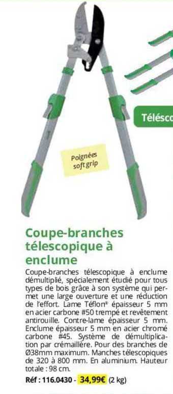 coupe-branches télescopique à enclume