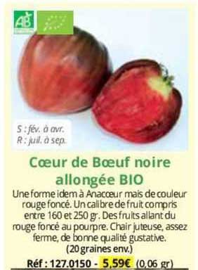 Cœur De Bœuf Noire Allongée Bio