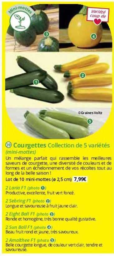courgettes collection de 5 variétés (mini-mottes)