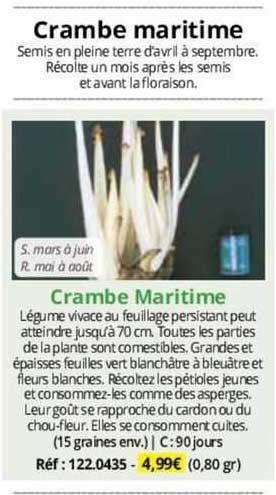 Crambe Maritime