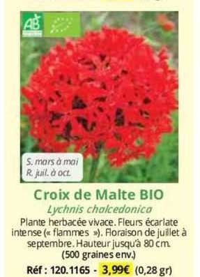 croix de malte bio