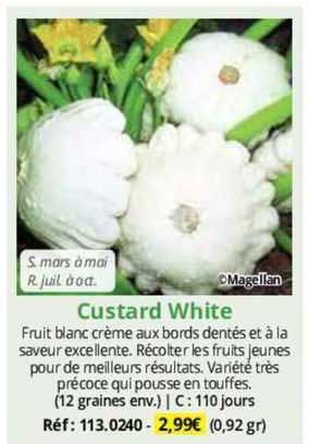 custard white
