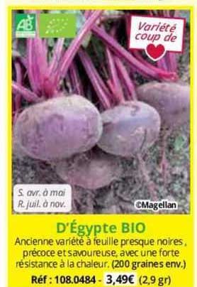 d'égypte bio