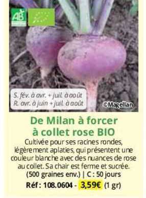de milan à forcer à collet rose bio