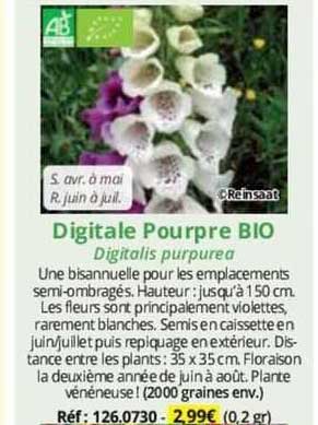 digitale pourpre bio