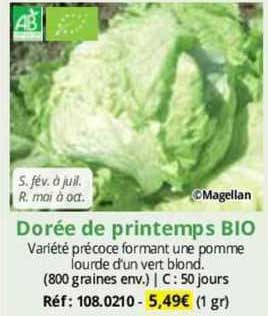 dorée de printemps bio