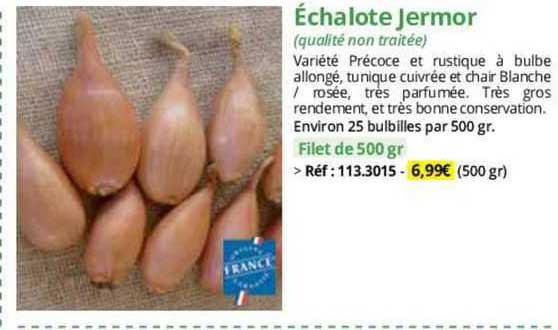échalote jermor