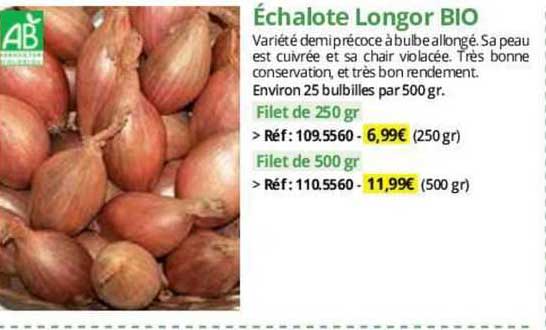 échalote longor bio