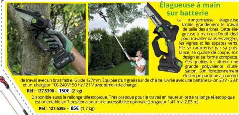 élagueuse à main sur batterie