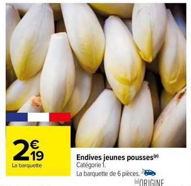 endives jeunes pousses