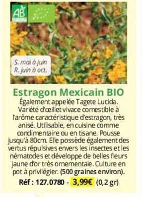 estragon mexicain bio