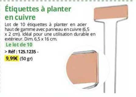 étiquettes à planter en cuivre