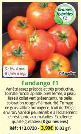 fandango F1