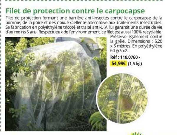 filet de protection contre le carpocapse