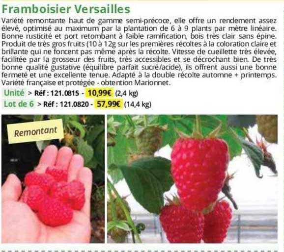 framboisier versailles