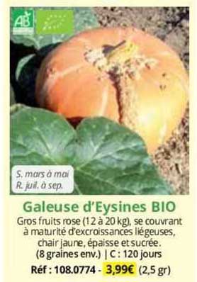 Galeuse D'eysines Bio