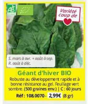 géant d'hiver bio