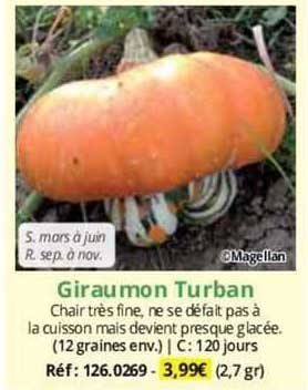 Giraumon Turban