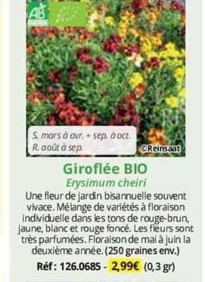 Giroflée Bio