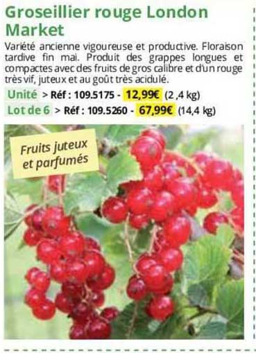 groseillier rouge london market