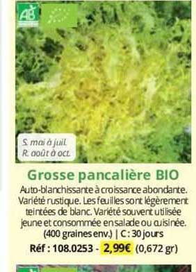 grosse pancalière bio