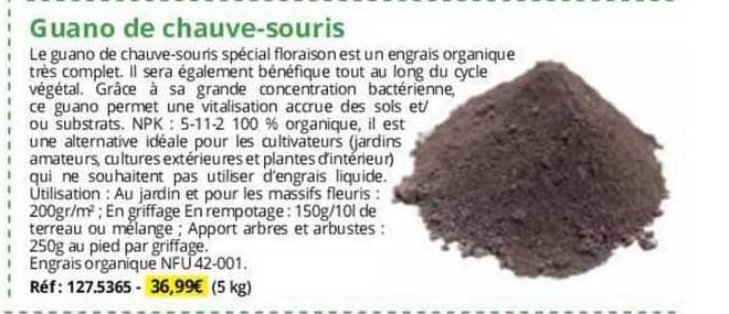 guano de chauve-souris