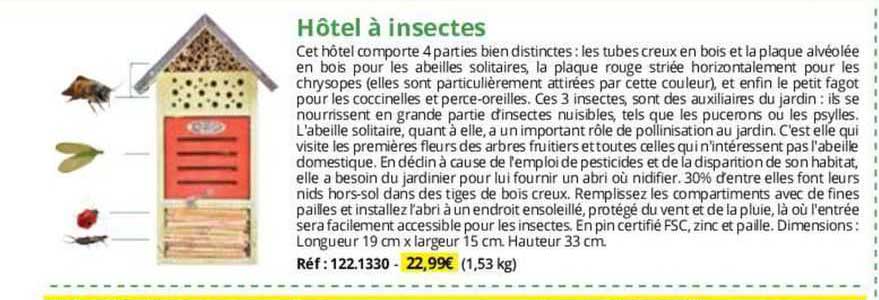 Hôtel à Insectes