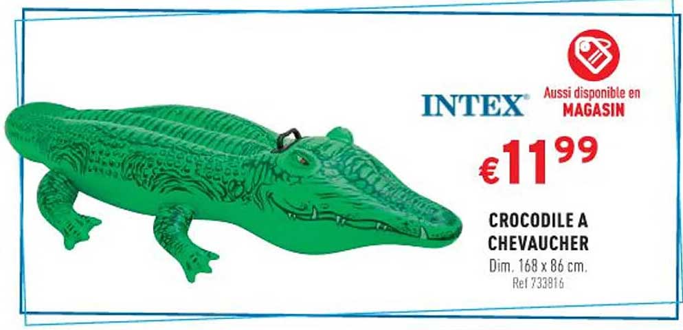 intex crocodile à chevaucher