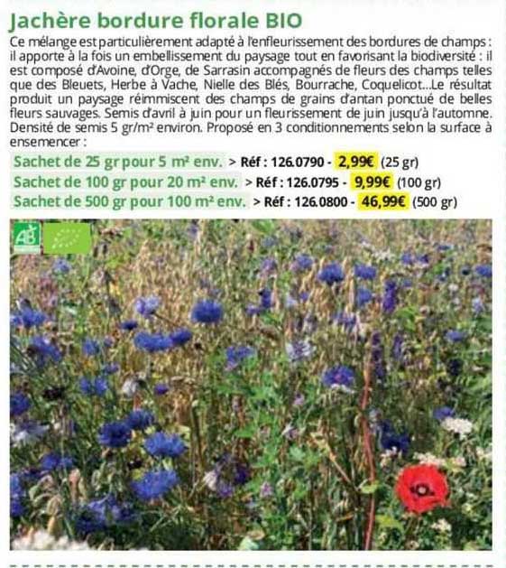 jachère bordure florale bio