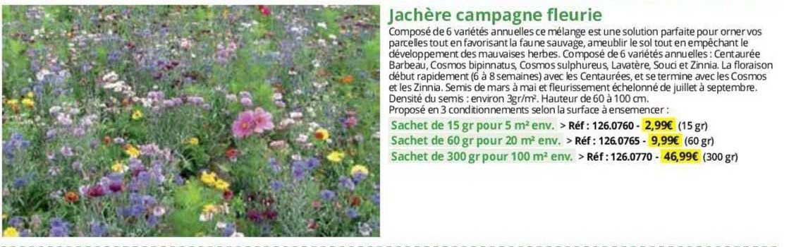 jachère campagne fleurie