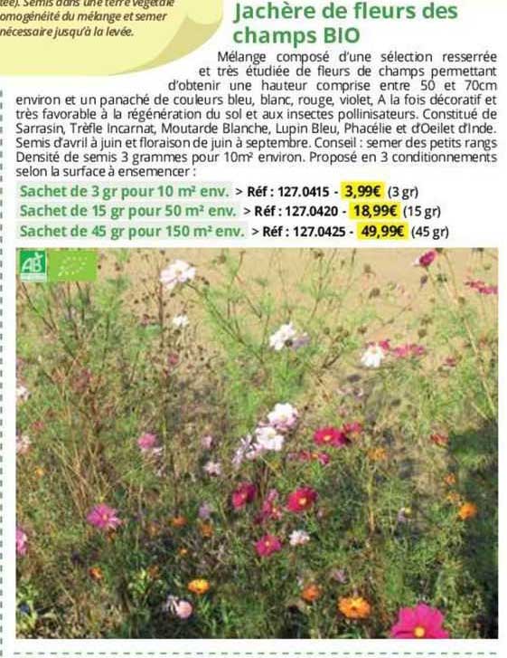 jachère de fleurs des champs bio