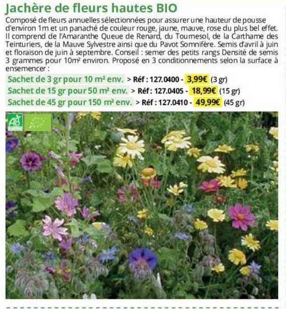 jachère de fleurs hautes bio