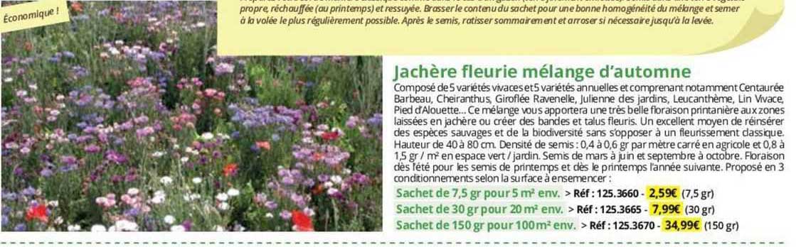 jachère fleurie mélange d'automne