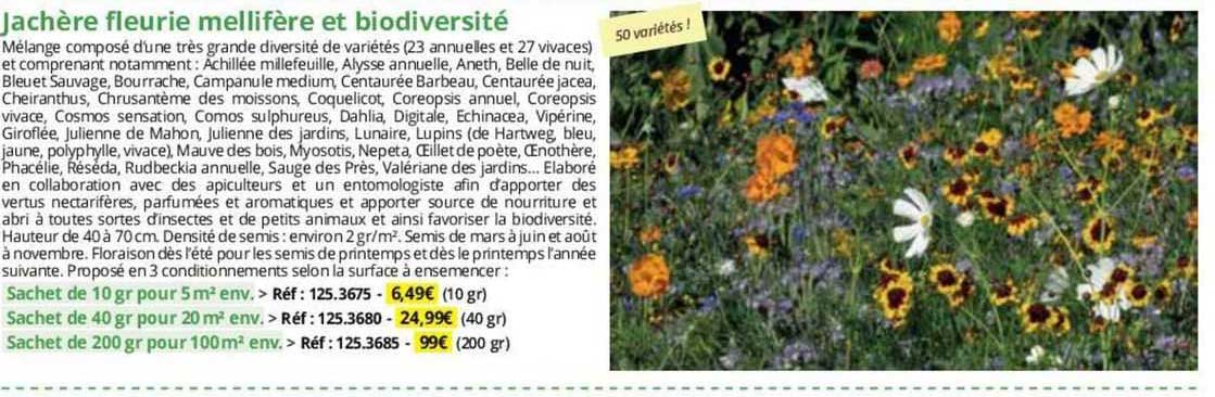 jachère fleurie mellifère et biodiversité