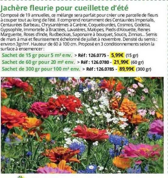 jachère fleurie pour cueillette d'été