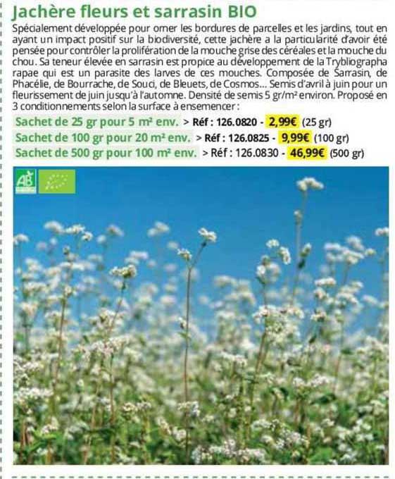 jachère fleurs et sarrasin bio