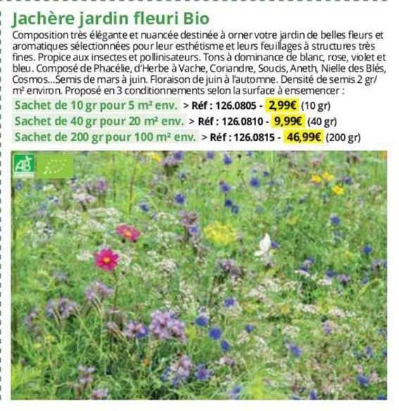 jachère jardin fleuri bio