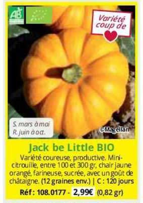 jack de little bio