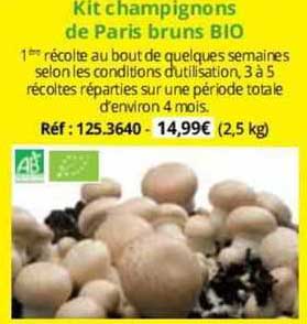 kit champignons de paris bruns bio