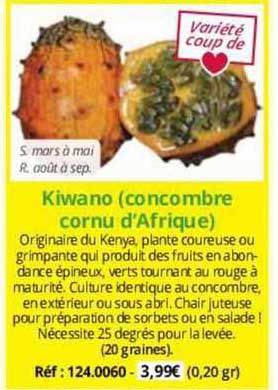 kiwano (concombre cornu d'afrique)