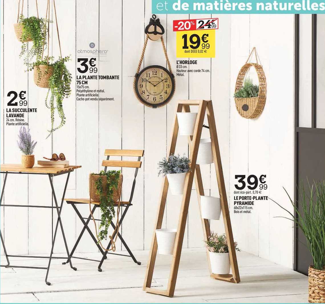 la succulente lavande, la plante tombante 75 cm, l'horloge, le porte-plante pyramide