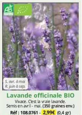 Lavande Officinale Bio
