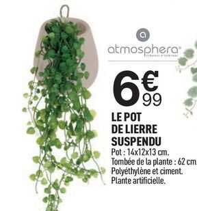 le pot de lierre suspendu atmosphera