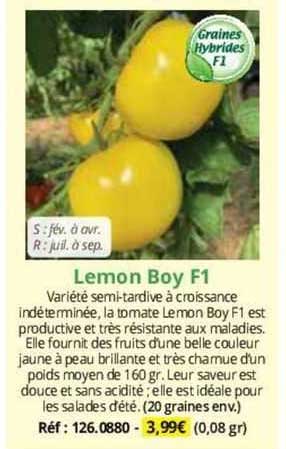lemon boy F1