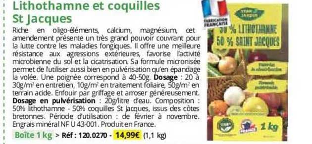 lithothamne et coquilles st jacques