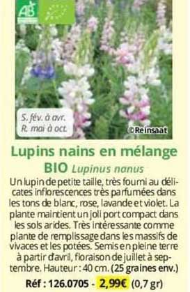 lupins nains en mélange bio