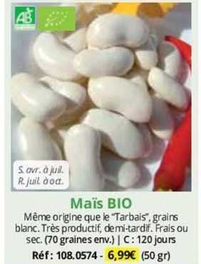 Maïs Bio
